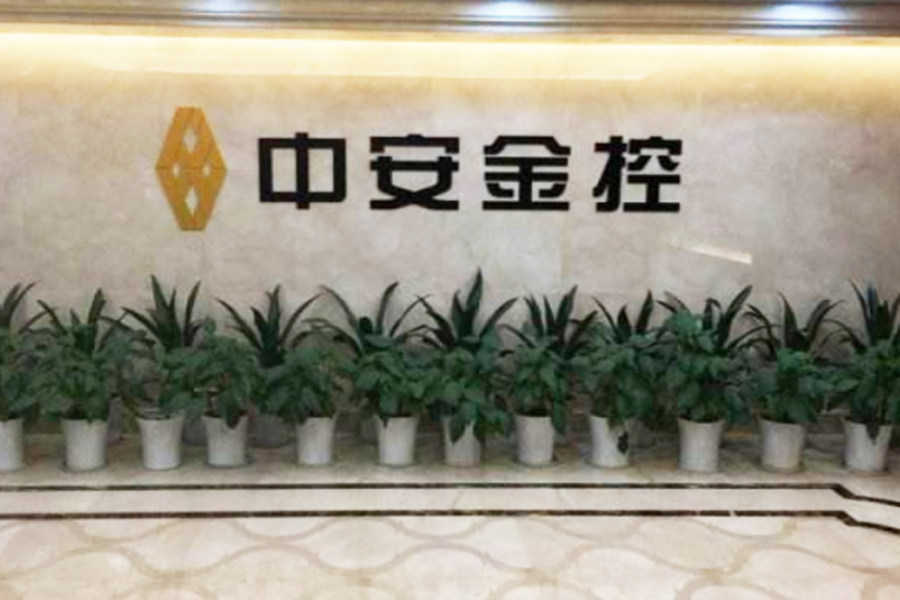中安金控集团高清视频会议及多媒体会议室系统项目